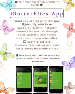 iButterFlies app: Identify and explore butterflies easily.