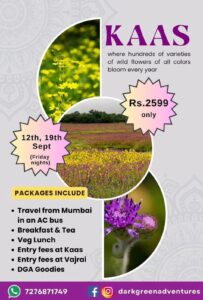 Kaas flower tour package details and pricing.