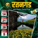 Ratangad Wild Flowers Trek: September 14, 21, 28, October 5.