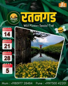 Ratangad Wild Flowers Trek: September 14, 21, 28, October 5.