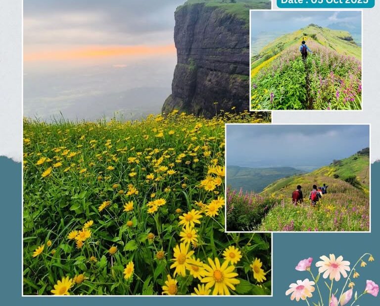 Jivdhan Fort trek with wildflowers and scenic views.