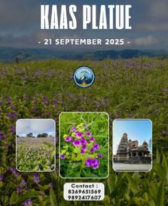 Kaas Plateau tour flyer with flowers and temple.