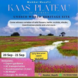 Tour to Kaas Plateau UNESCO World Heritage site.
