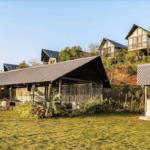 pawna lake bhandardara hotels camping resorts 023