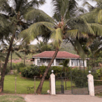 pawna lake bhandardara hotels camping resorts 028