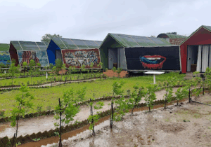 pawna lake bhandardara hotels camping resorts 046