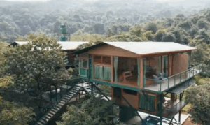 Treehouse lodge in lush forest setting.
