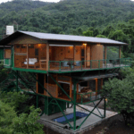 Modern treehouse in lush forest setting