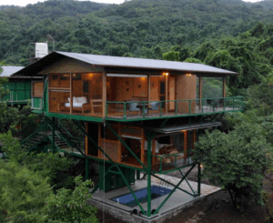 Modern treehouse in lush forest setting