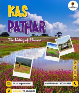Kas Pathar, Valley of Flowers trip details