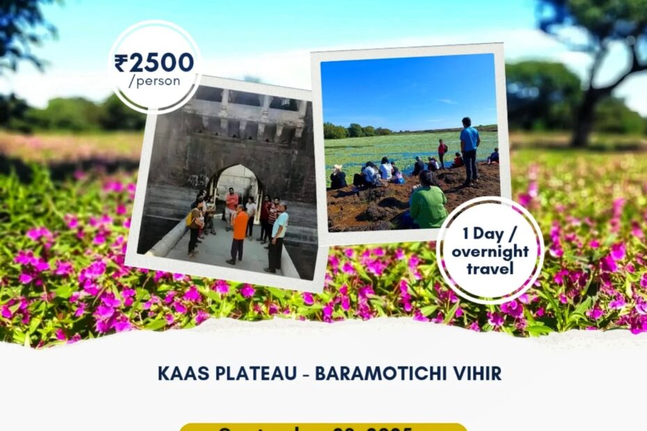 Kaas Plateau tour details and contact information.