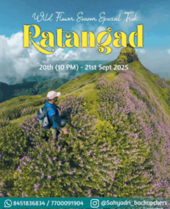 Trekker in purple wildflowers on Ratangad hill.