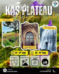 trekbunnies kaas plateau 14th sept