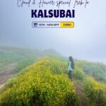 Woman trekking through Kalsubai flower fields.