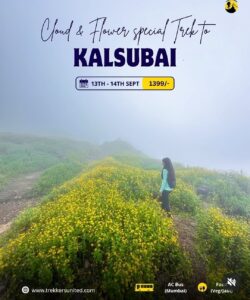 Woman trekking through Kalsubai flower fields.