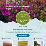 Kaas Plateau and Sajjangad Fort day trip offer.