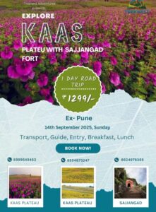 Kaas Plateau and Sajjangad Fort day trip offer.