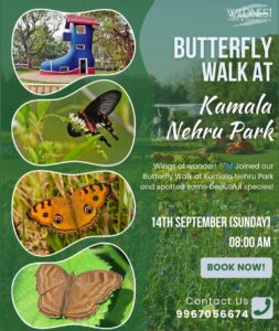 wildnest butterfly walk kamala nehru park 14th sept
