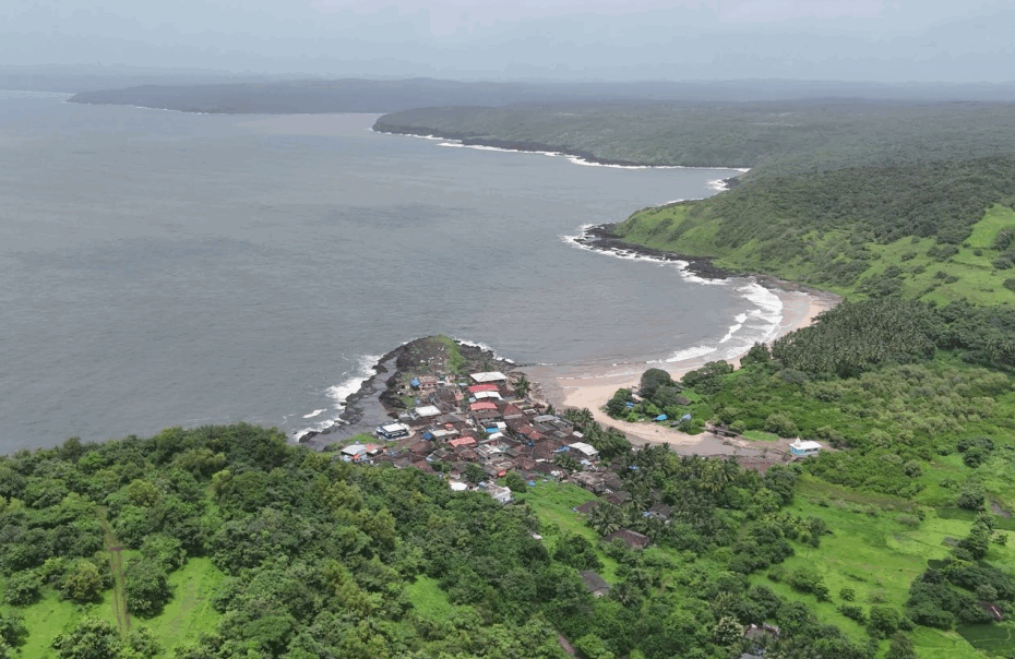 Aerial view of coastal village surrounded by greenery.
