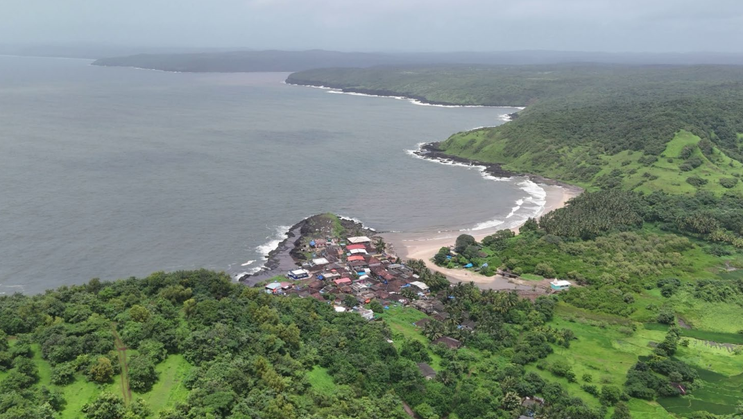 Aerial view of coastal village surrounded by greenery.