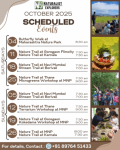 October 2025 nature events schedule with photos.