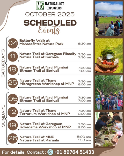 naturalist mumbai events octber