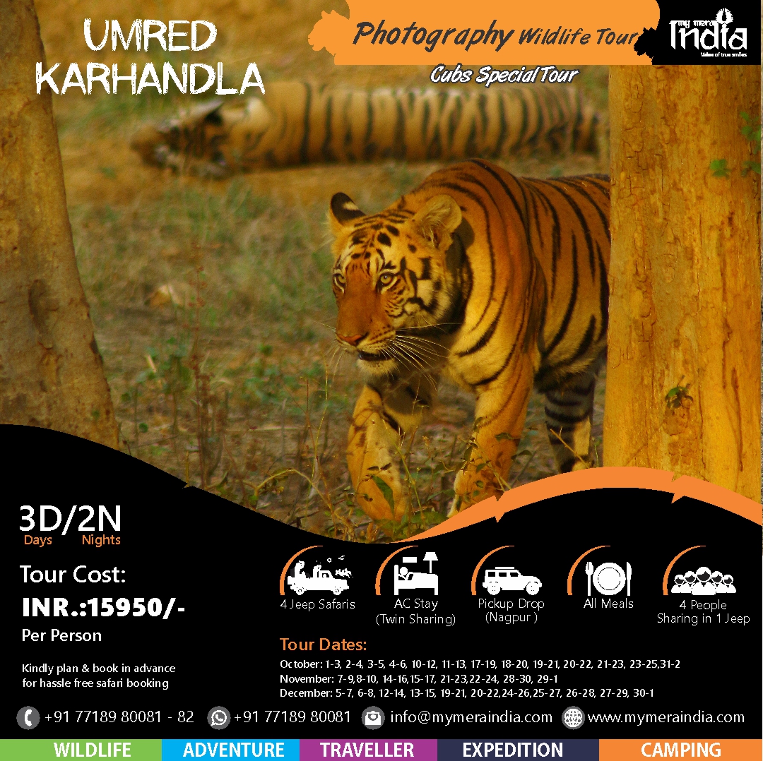 Umred Karhandla Wildlife Photography Tour