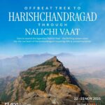 Trek Harishchandragad via Nalichi Vaat, Nov 2025 adventure.