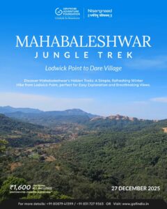 Mahabaleshwar Jungle Trek, Lodwick Point to Dare Village.