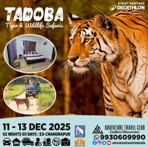 Tadoba wildlife safaris featuring tigers, December 2025 event.