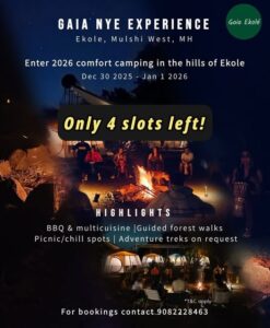 Gaia NYE camping experience in Ekole, limited slots available.