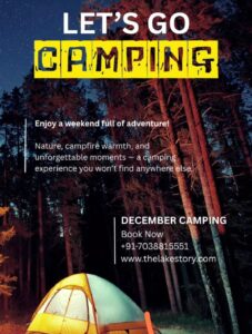 Camping adventure under starry night in forest.