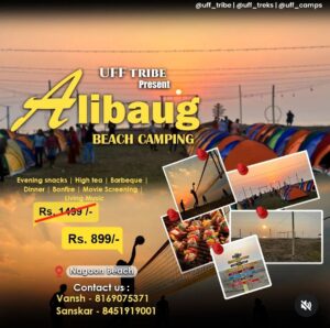 Alibaug beach camping event with tents and activities.