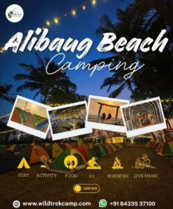Alibaug Beach camping with activities and live music.