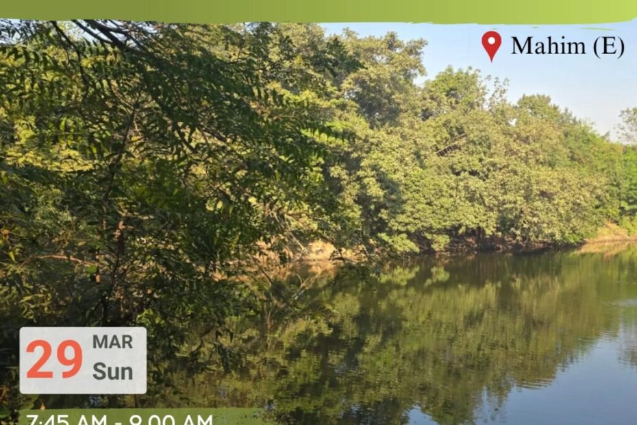 maharashtra nature park