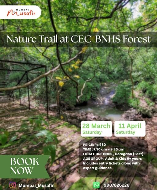 mumbai musafir bnhs conservation education centre cec