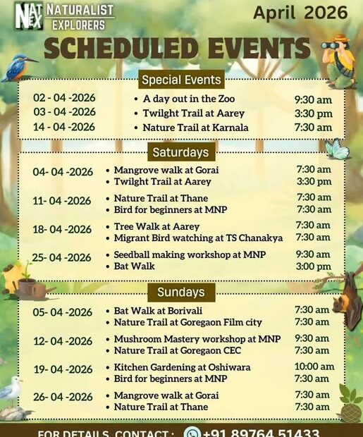 Naturalist Explorers April 2026