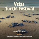 bucketlist adventures velas turtle festival 25th 26th april 2026