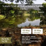 Mumbai Musafir nature trail at Maharashtra Nature Park 16th may 2026