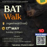 natex bat walk jogeshwari east 17th may 2026