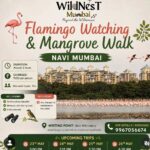 wildnest navi mumbai flamingo and mangrove walk 23rd to 26th may 2026 daily