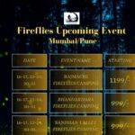 wonderveda events 16th 17th may 2026